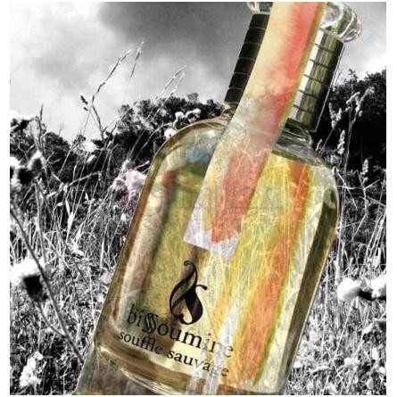 Souffle Sauvage-بیسومین سوفل ساوج