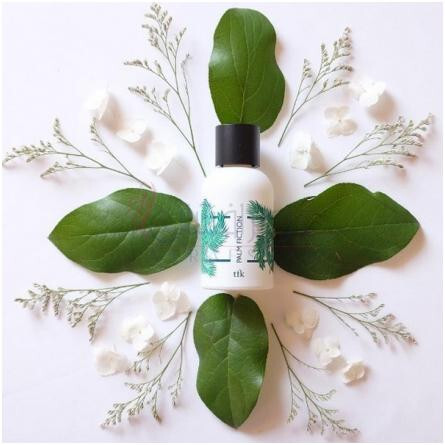 Palm Fiction-د فرگرنس کیچن پالم فیکشن