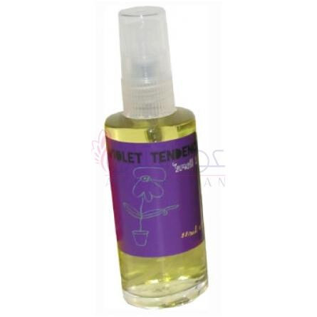 Violet Tendencies-اسمل بنت ویولت تندنسیز