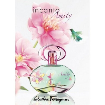 Incanto Amity-سالواتوره فراگامو اینکانتو آمیتی