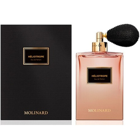Heliotrope-مولینارد هلیتراپ