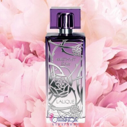 Amethyst Eclat-لالیک آمتیس اکلت (آمیتیس ایکلت)