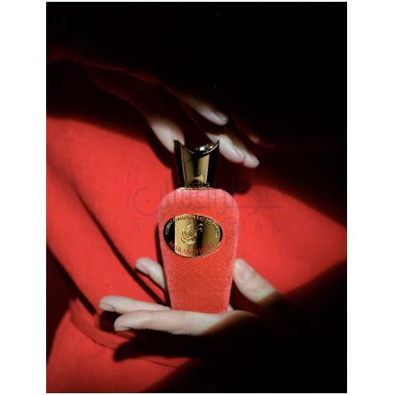 Maraschino-سوسپیرو پرفیومز ماراسچینو