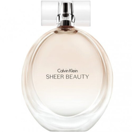 Sheer shop calvin klein