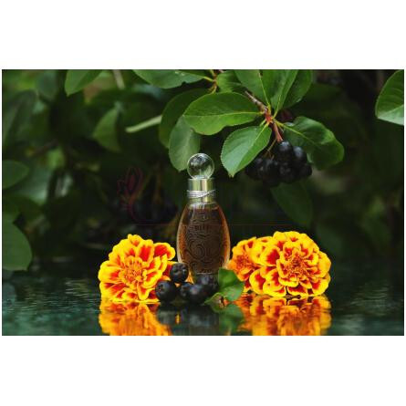 Bayun the Cat Кот Баюн-لادنیکا بیون د کت