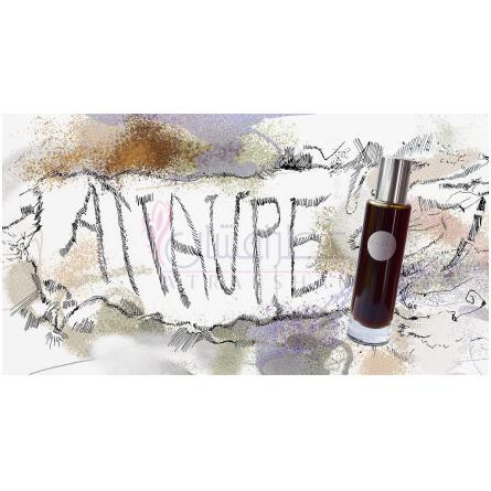 Attaupe-جَنیوئری سن پروجکت آتاوپه