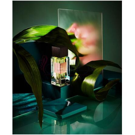 Rosa Sacra-فراسای رزا سکرا