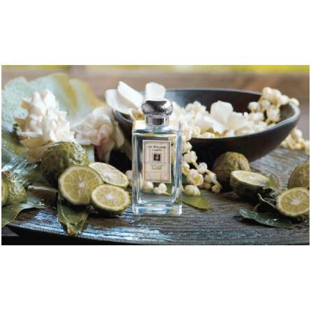 Sweet Lime & Cedar-جو مالون سوییت لایم اند سدر