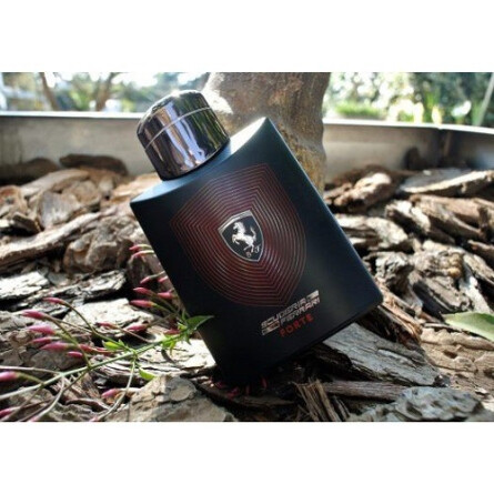 Scuderia Ferrari Forte-فراری اسکودریا فراری فورته