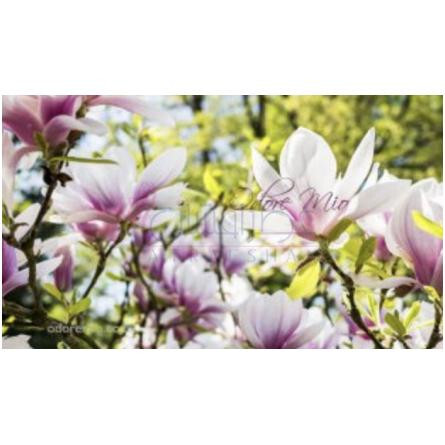 Pink Magnolia-اودور میو پینک مگنولیا