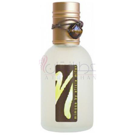 Mimosa-الیسیا میلور میموسا