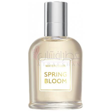 Spring Bloom-بروکارد اسپرینگ بلوم