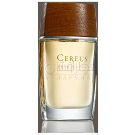 Cereus No.7-کرئوس شماره 7