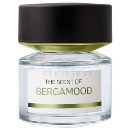 Bergamood-بی ام و فرگرنرسز برگامود