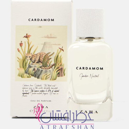Cardamom - Gender Neutral-زارا کارداموم - جندر نیچرال