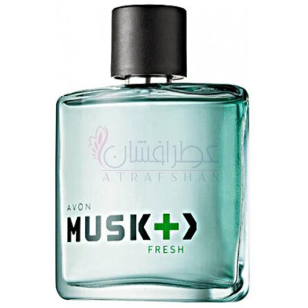 Musk + > Fresh-اوان مسک + فرش