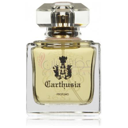 Carthusia Lady-کارتوزیا لیدی