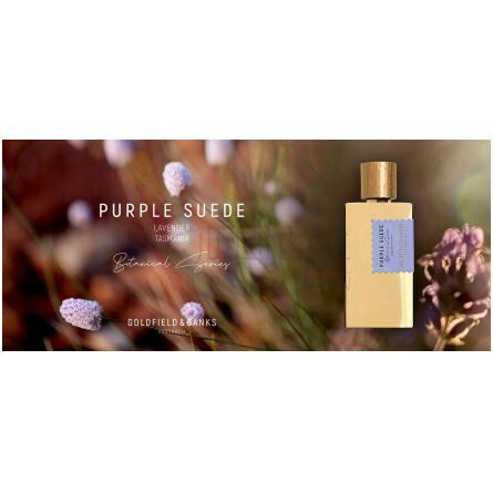 Purple Suede-گلد فیلد اند بنکس استرالیا پرپل سوید