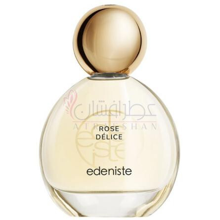 Rose Délice-ادینیست رز دلیس