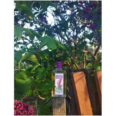 Siren-نوول ایتویل سیرن