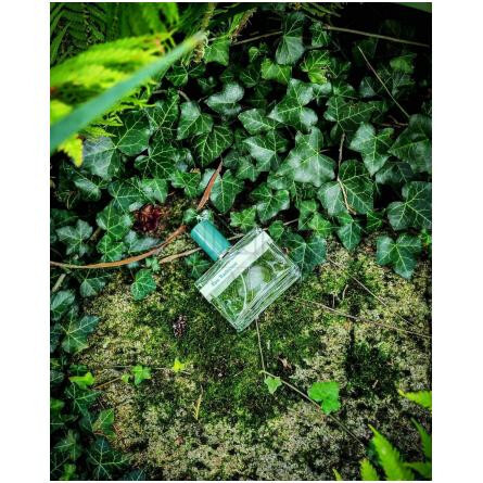 Eau Radieuse-هومیکی اند گریف او رادیوس