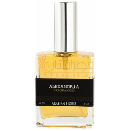 Arabian Horse-الکساندریا فرگرنسز عربین هورس