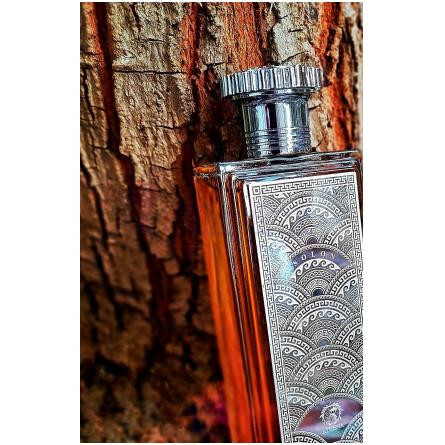 Solon-آتنا فرگرنسز سولون