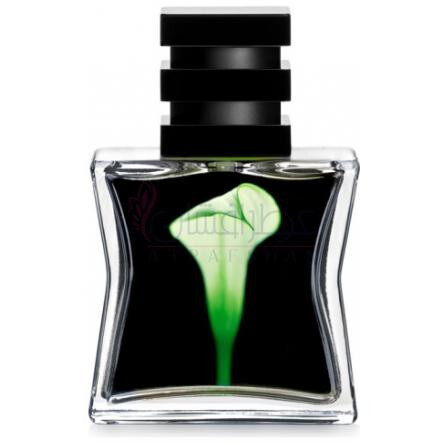 Nº 22-اس جی 79 اس تی اچ ال ام شماره 22