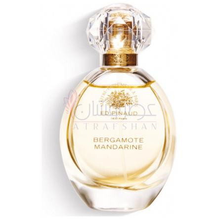 Bergamote Mandarine-اد پینو برگاموت ماندارین