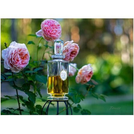 N'Aimez Que Moi Parfum-کارون نمی کوی موی پارفوم