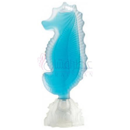 Seahorse-سی جولز سی هورس