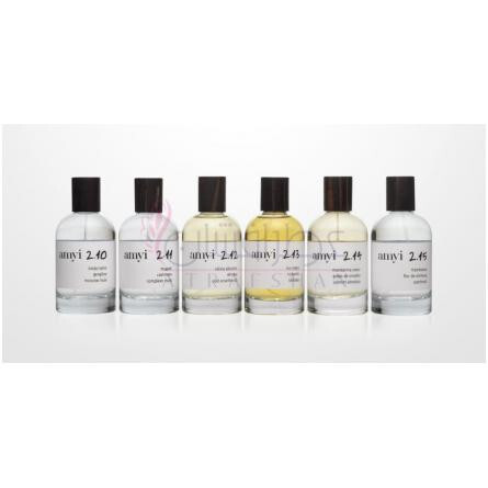 Amyi 2.11-آمی 2.11