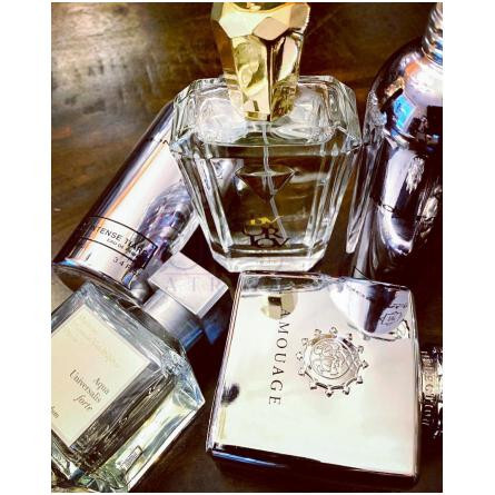 Hope-اورلوو پاریس هوپ