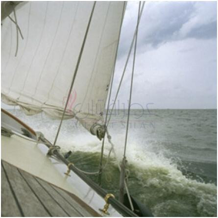 Tasman in Grey-کد دکو تاسمن این گری