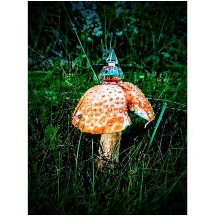 Fath de Fath (1993)-ژاک فت فت د فت 1993