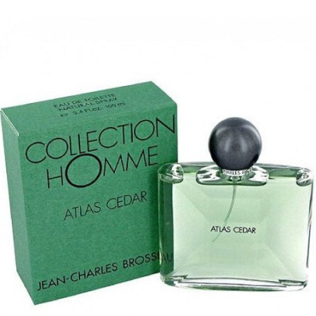 cedar atlas cologne