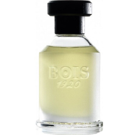 Rosa 23-بویس 1920 رز 23