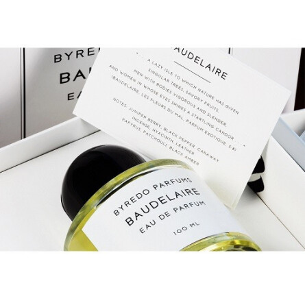 Baudelaire-بایردو بودلیر