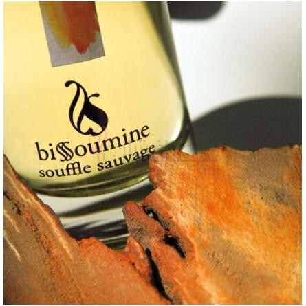 Souffle Sauvage-بیسومین سوفل ساوج