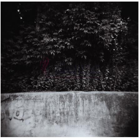 Attaupe-جَنیوئری سن پروجکت آتاوپه