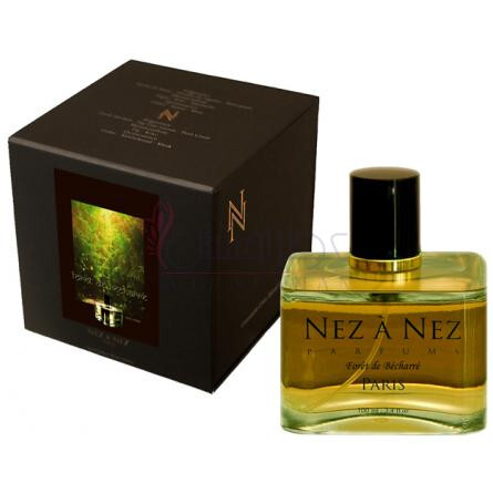 Foret de Becharre-نز ا نز فورت دی بیشار