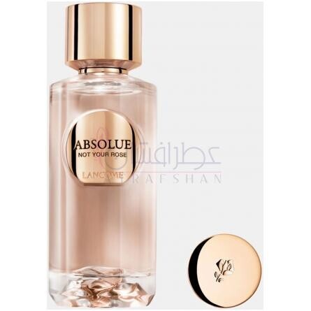 Absolue Not Your Rose-لانکوم ابسولوت نات یور رز