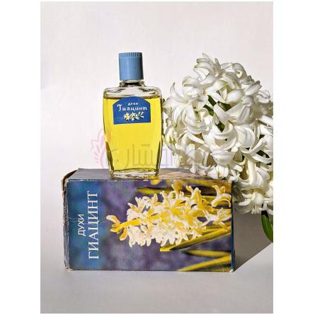 Hyacinth Гиацинт-سورنویه سیانی هایسینت 