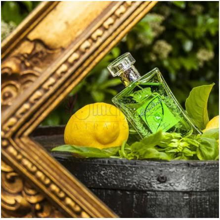 Bacilicò-اکوا دی تائورمینا پارفومز باسیلیکو