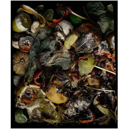 I am Trash - Les Fleurs du Déchet-اتات لیبره د اورنج آی ام ترش لس فلرز دو دچت