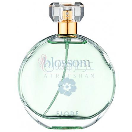 Blossom-ایلود بلوسوم