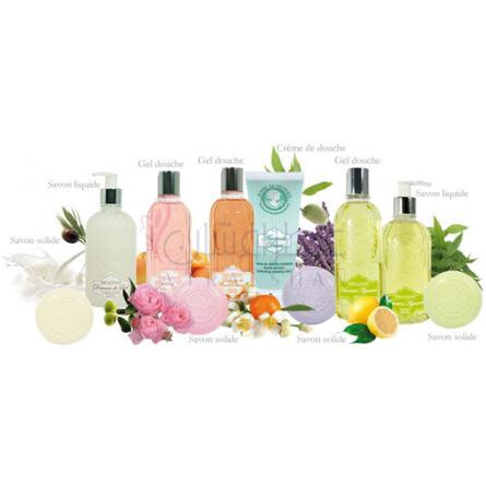 Bouquet d'Agrumes-ژان ان پروونس بوکت د اگرومس