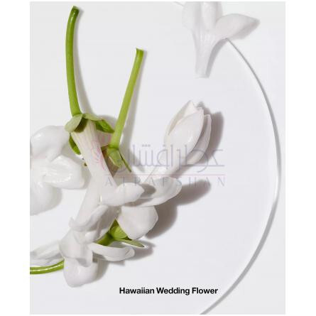 Happy Limited Edition 2022-کلینیک هپی ادیشن 2022