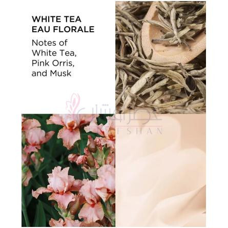 White Tea Eau Florale-الیزابت آردن وایت تی او فلورال