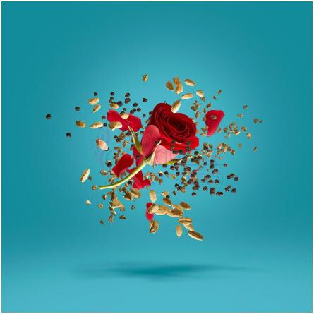 Groove Xcape-زرجوف گرووی ایکس کپ